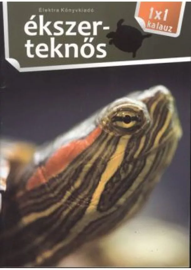 VÁLOGATÁS - ÉKSZERTEKNŐS
