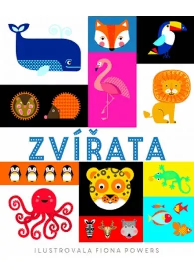 Zvířata