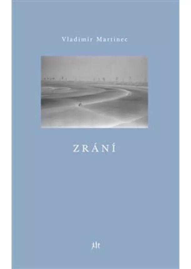 Vladimír Martinec - Zrání