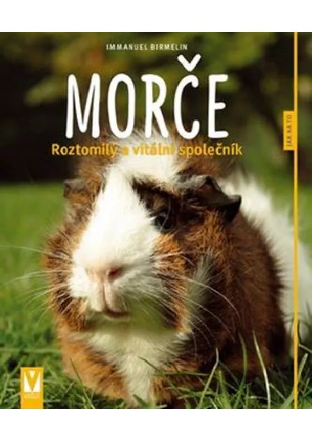 Immanuel Birmelin - Morče - Roztomilý a vitální společník