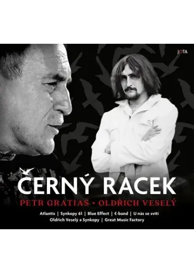 Černý racek