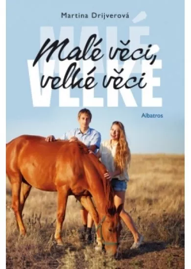 Malé věci, velké věci