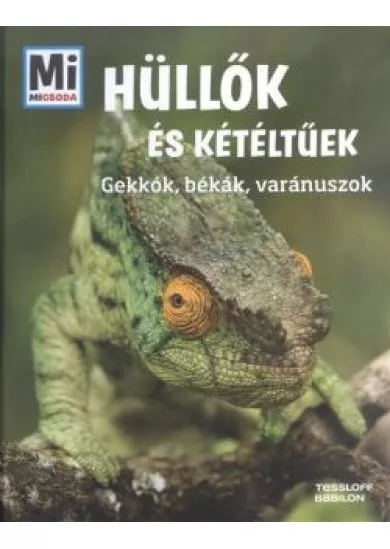 Hüllők és kétéltűek - Gekkók, békák, varánuszok /Mi Micsoda 16.