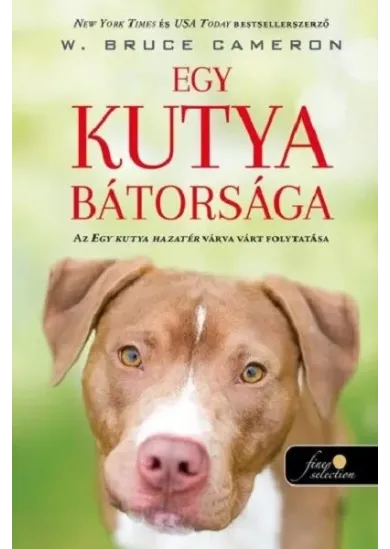 Egy kutya bátorsága - Egy kutya hazatér 2.