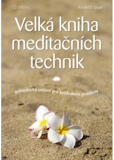 Velká kniha meditačních technik - Jednoduchá cvičení pro každodenní problémy