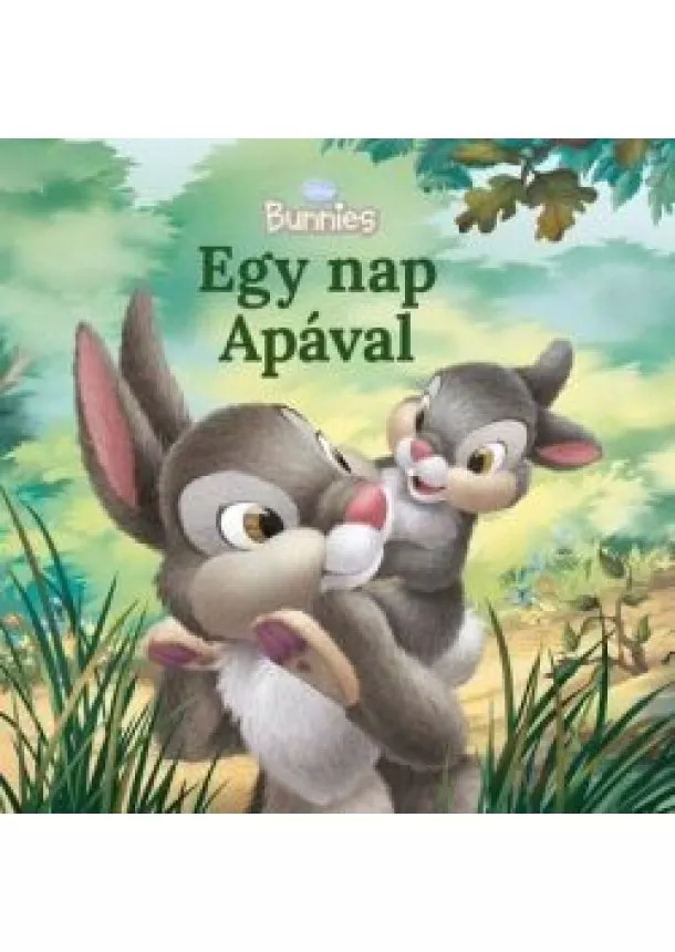 Kitty Richards - Egy nap Apával - Disney Bunnies