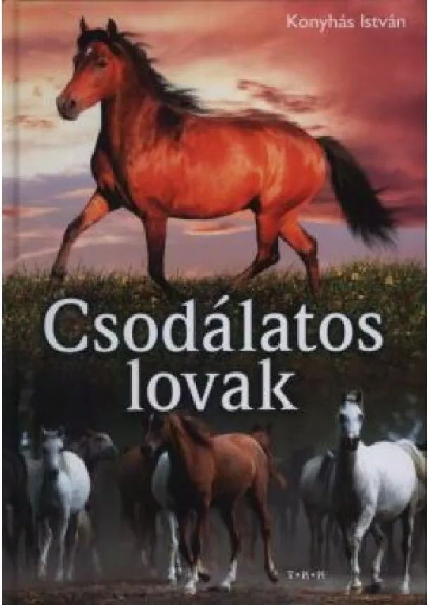 KONYHÁS ISTVÁN - Csodálatos lovak