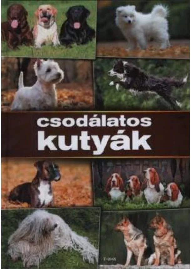 Csodálatos kutyák 