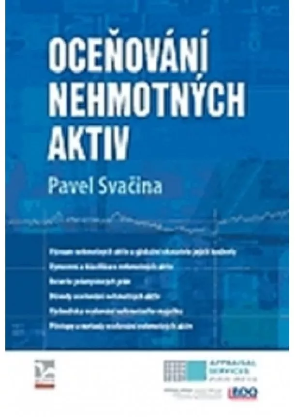 Pavel Svačina - Oceňování nehmotných aktiv