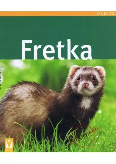 Fretka - Jak na to