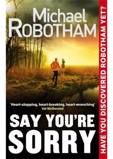 Say Youre Sorry