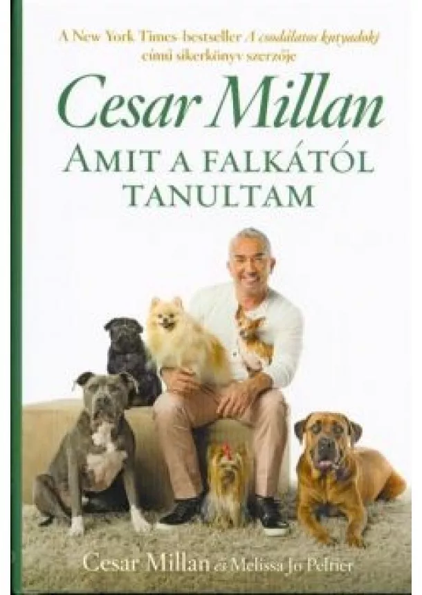 Cesar Millan - Amit a falkától tanultam