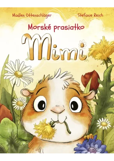 Morské prasiatko Mimi
