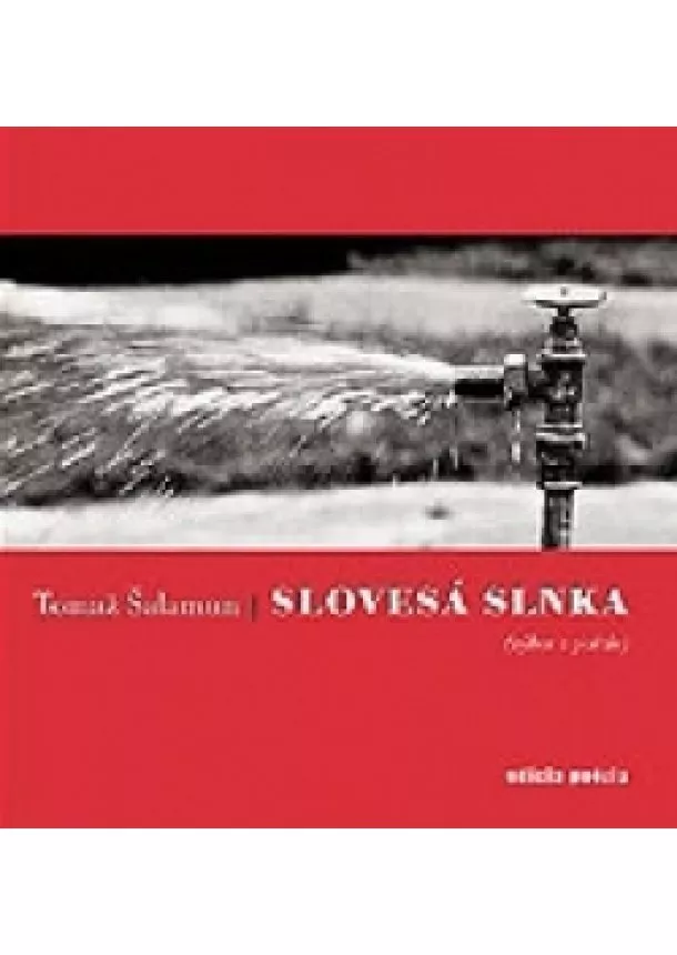 Tomaž Šalamun - Slovesá slnka