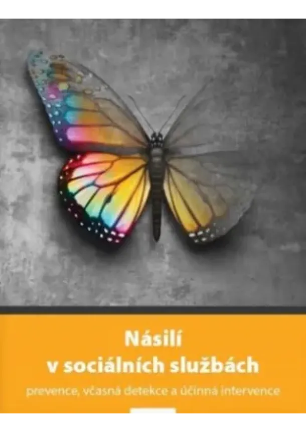 kolektiv autorů - Násilí v sociálních službách - prevence, včasná detekce a účinná intervence
