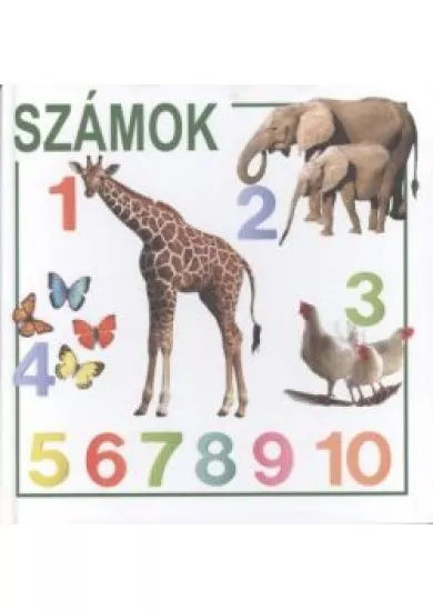 SZÁMOK