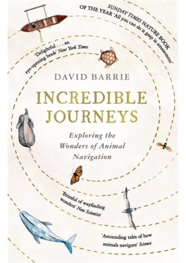 David Barrie - Incredible Journeys