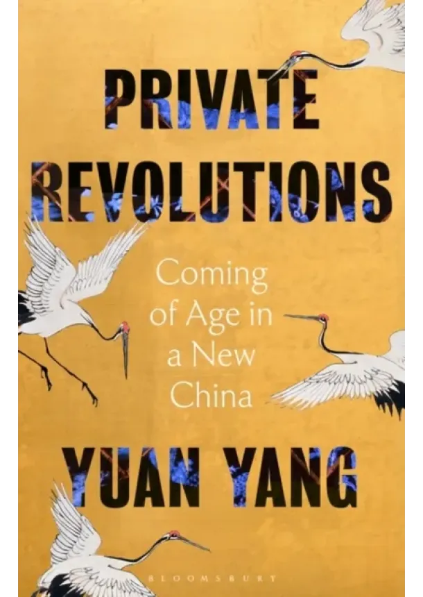 Private Revolutions : Coming of Age in a New China