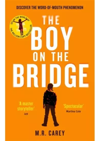 The Boy on the Bridge