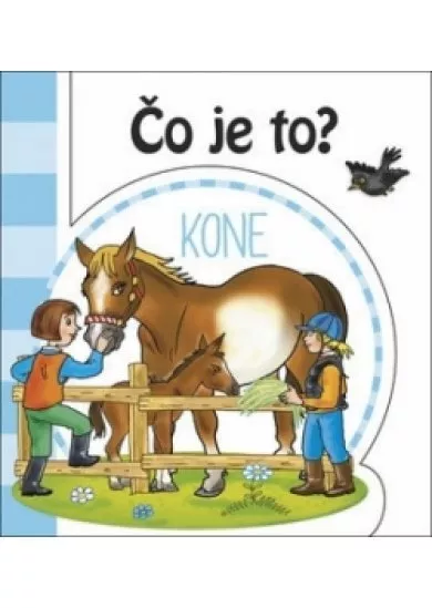 Čo je to? - Kone