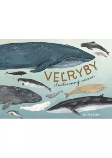 Veľryby: ilustrovaný sprievodca