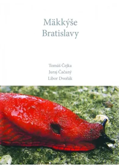 Mäkkýše Bratislavy