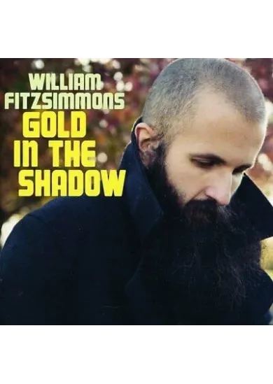 William Fitzsimmons:  Gold in the Shadow