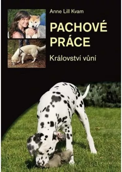 Pachové práce - DVD