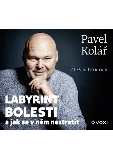 Labyrint bolesti (audiokniha)