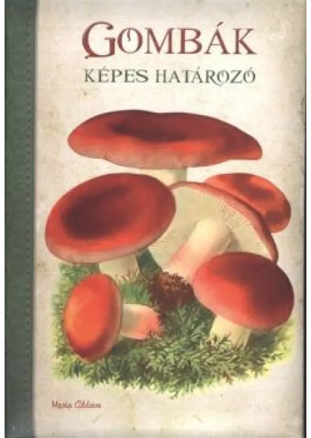 Maria Aldave - Képes határozó : Gombák