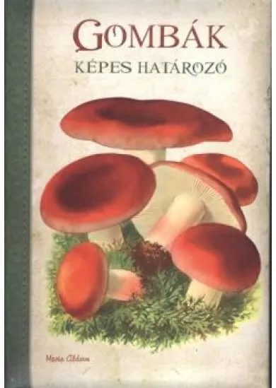 Képes határozó : Gombák