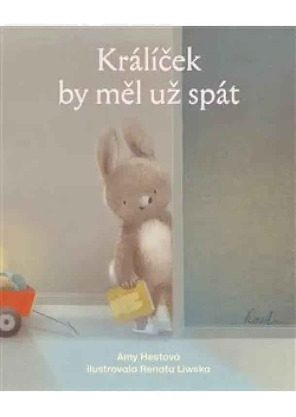 Amy Hestová - Králíček by měl už spát