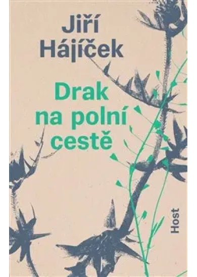 Drak na polní cestě