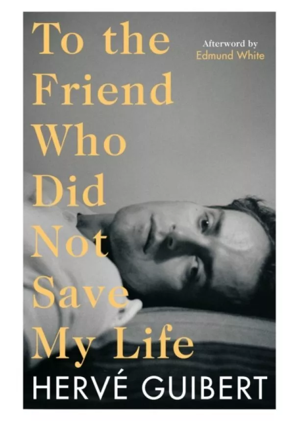 Herve Guibert - To the Friend Who Did Not Save My Life