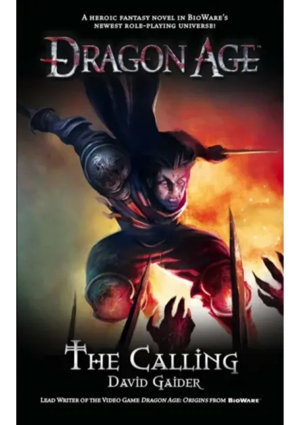 David Gaider - Dragon Age - the Calling