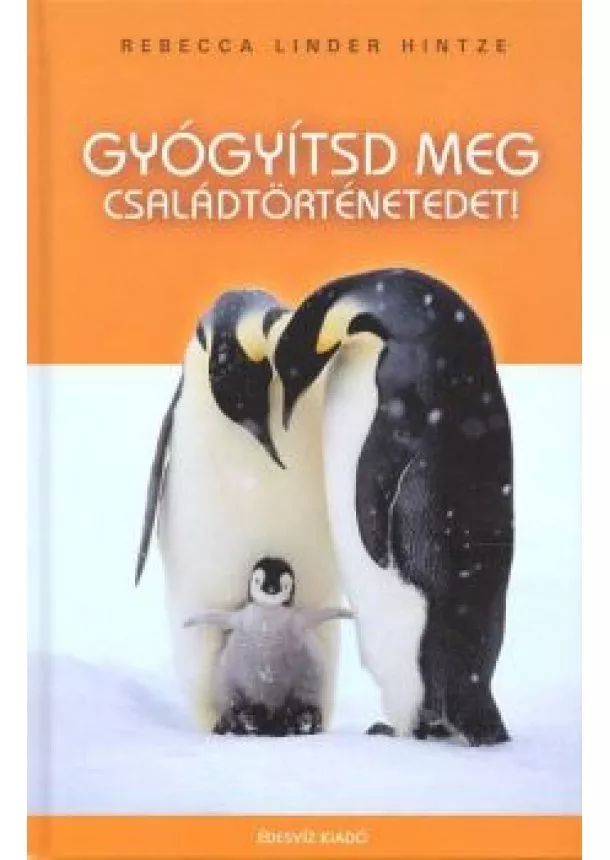REBECCA LINDER HINTZE - GYÓGYÍTSD MEG CSALÁDTÖRTÉNETEDET!