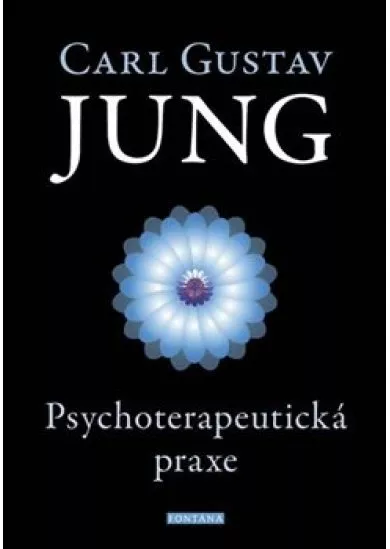 Psychoterapeutická praxe