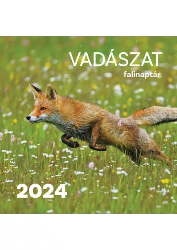 Naptár - Vadászat falinaptár 2024