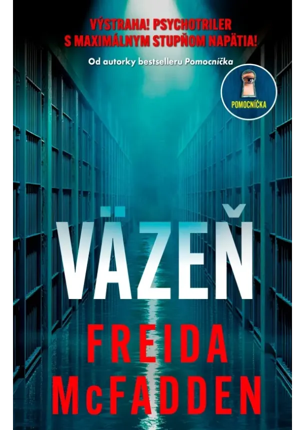 Freida McFadden - Väzeň