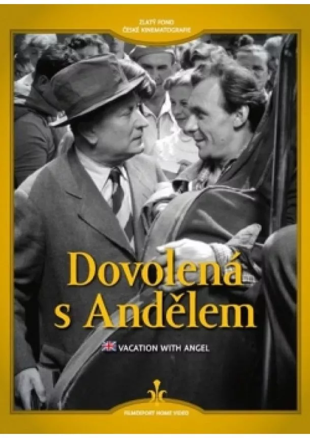 autor neuvedený - Dovolená s Andělem - DVD (digipack)