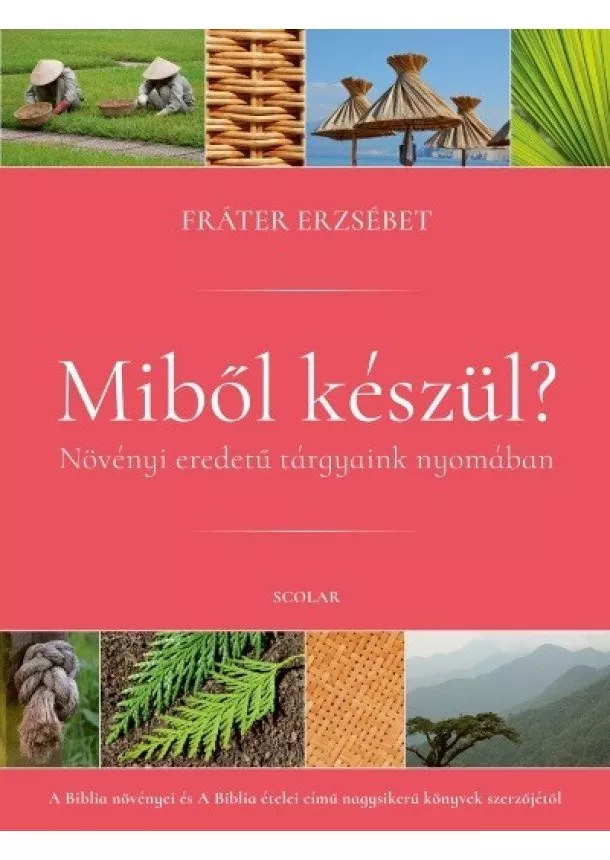 Fráter Erzsébet - Miből készül? - Növényi eredetű tárgyaink nyomában