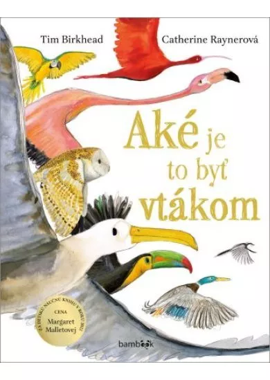 Aké je to byť vtákom
