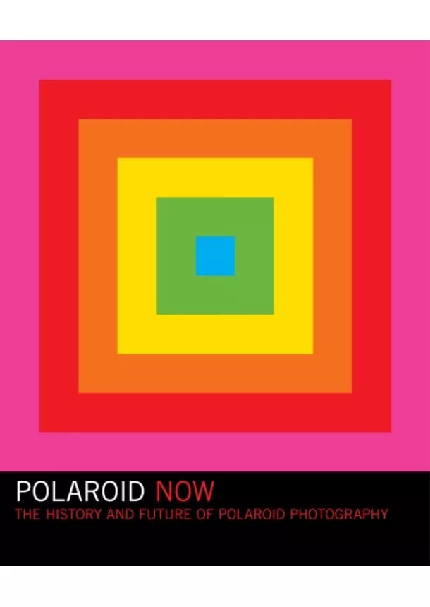 Steve Crist - Polaroid Now