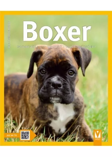 Boxer – 2. vydání
