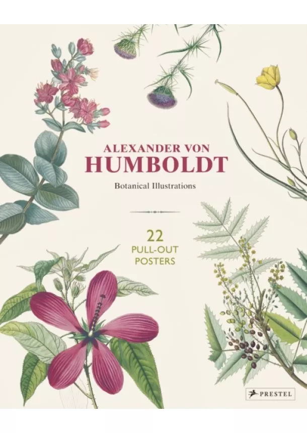 ,Otfried Baume - Alexander von Humboldt Botanical Illustrations