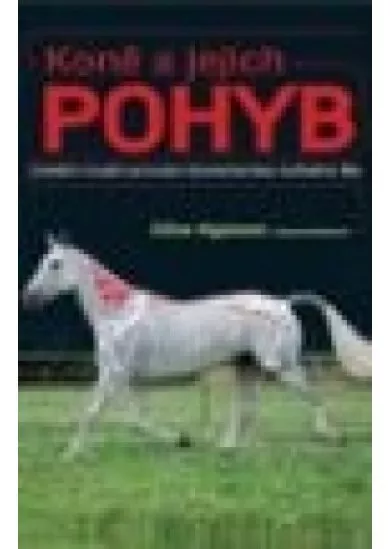 Koně a jejich pohyb