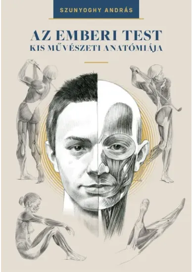 Az emberi test kis művészeti anatómiája (új kiadás)