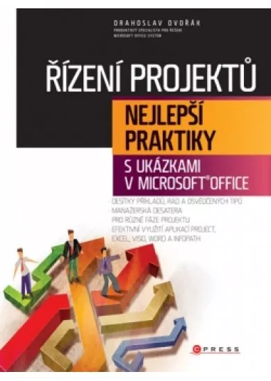 Řízení projektů