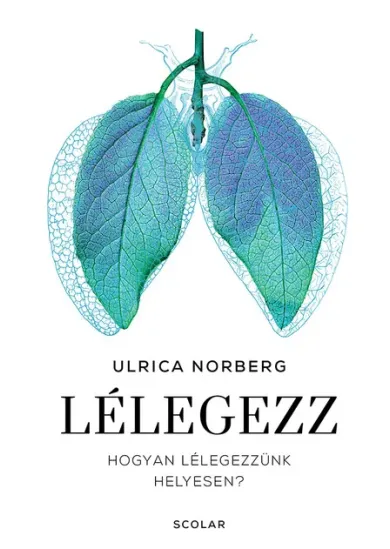 Lélegezz - Hogyan lélegezzünk helyesen?