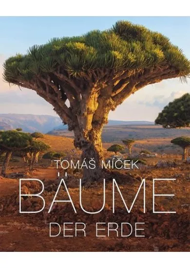 Bäume der Erde